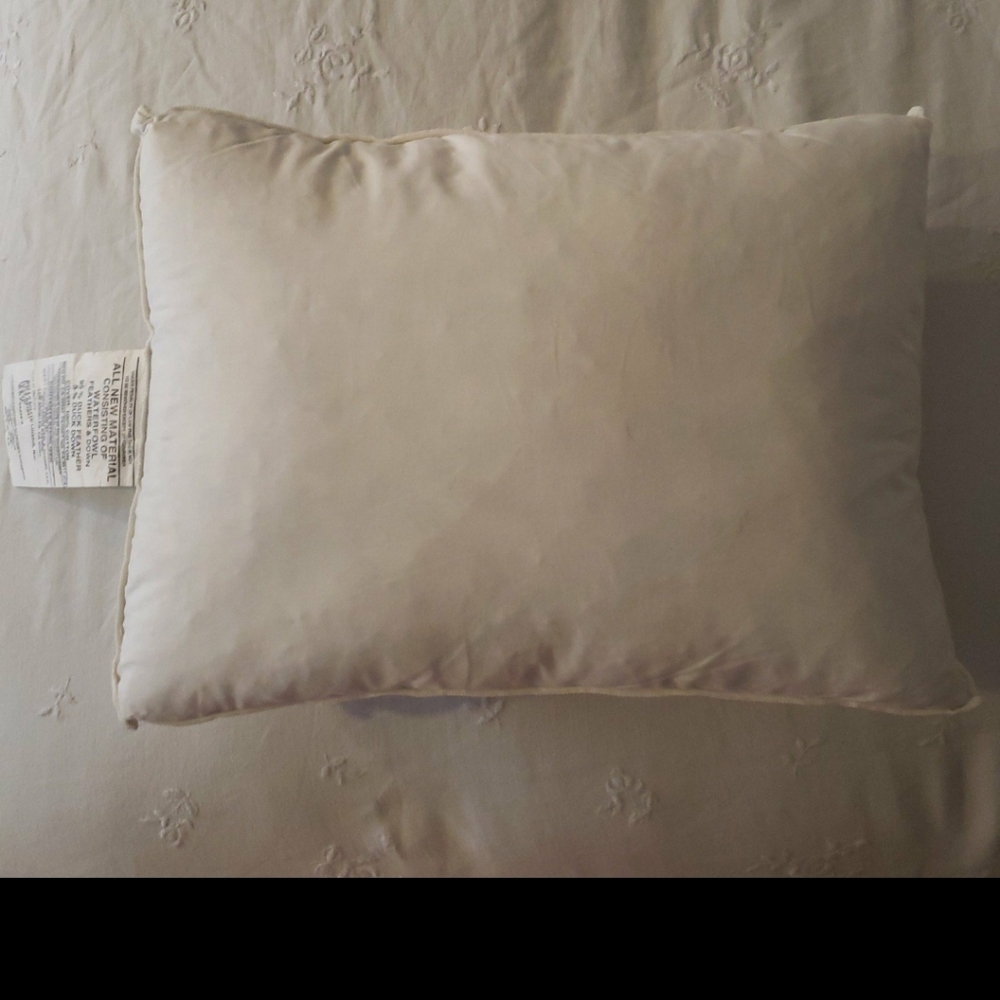 Bella notte essential down decorative pillow insert size 15×12 in boudoir